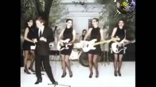 Robert Palmer - I Didn&#39;t Mean To Turn You On music video (original song vers)