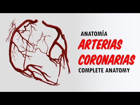 ANATOMIA EN 3D - ARTERIAS CORONARIAS (Origen, Trayecto, Ramas, Variantes Anatómicas)