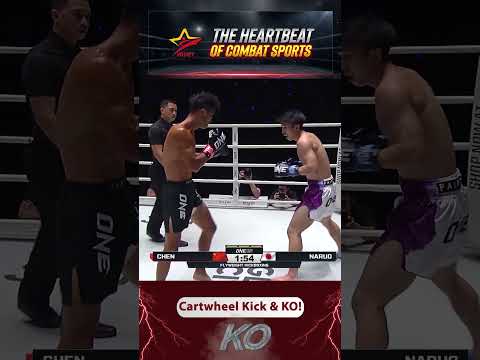 Shorts Cartwheel Kick & KO ONE