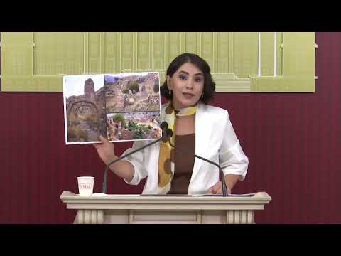 Nevroz Uysal Aslan, Şax ve Hebler'de halkın toprağı güvenlik politikalarına kurban ediliyor