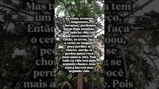 #amor #mensagem #frases