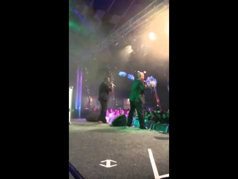 Marcel Bogarde (ex Timeless)