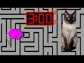 3 Minute Timer [MOUSE MAZE] 🐭