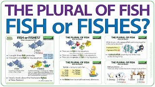 The plural of FISH - Fish or Fishes?