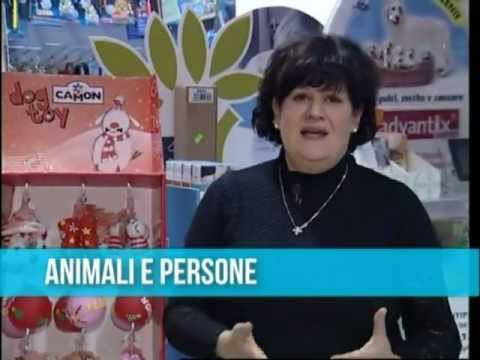 Sommario nona puntata anno 2011-12