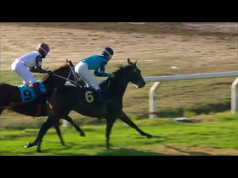 220703 c06 POSIBLE SUEÑO (BRZ)