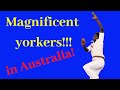 Great Yorkers In Australia