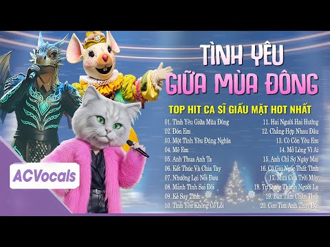 Vì Tình Yêu Sẽ Xóa Tan Giá Băng... Tình Yêu Giữa Mùa Đông | Top Hit Ca Sĩ Giấu Mặt Hay Nhất
