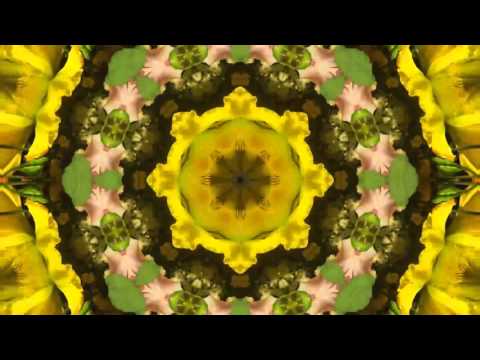 Trippy Video | Flower Power | Psychedelic