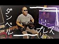 【筋トレ】胸トレ 3種目 2種目目 ダンベルプレス