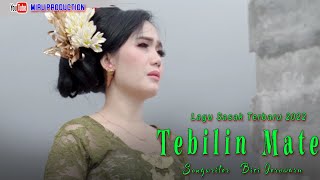 Download lagu LAGU SASAK TERBARU 2022 TEBILIN MATE ERNY AYUNINGS... mp3