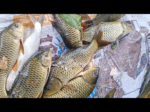 EP2 p2 PAGPANA SA ILOG JACKPOT SA KARPA