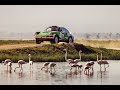 The Tuthill Safari Film