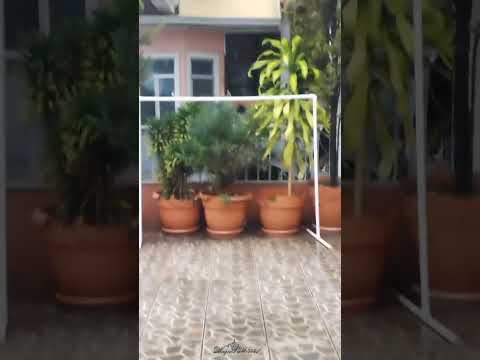 Infinitas gracias a DIOS por la lluvia en Chiantla, Huehuetenango, Guatemala.
