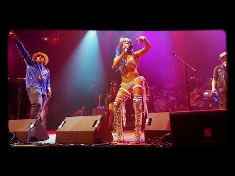 George clinton erotic city mp3 excellent Are George clinton erotic city mp3 remarkable, rather