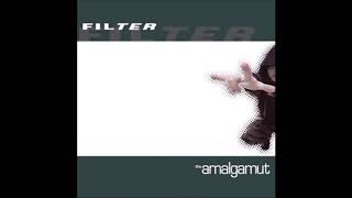 Filter - It Can Never Be The Same