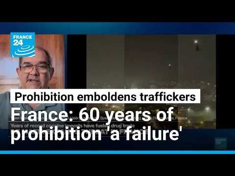 Is DZ Mafia more of a 'brand' or drug trafficking 'franchise' rather than a French drug cartel?