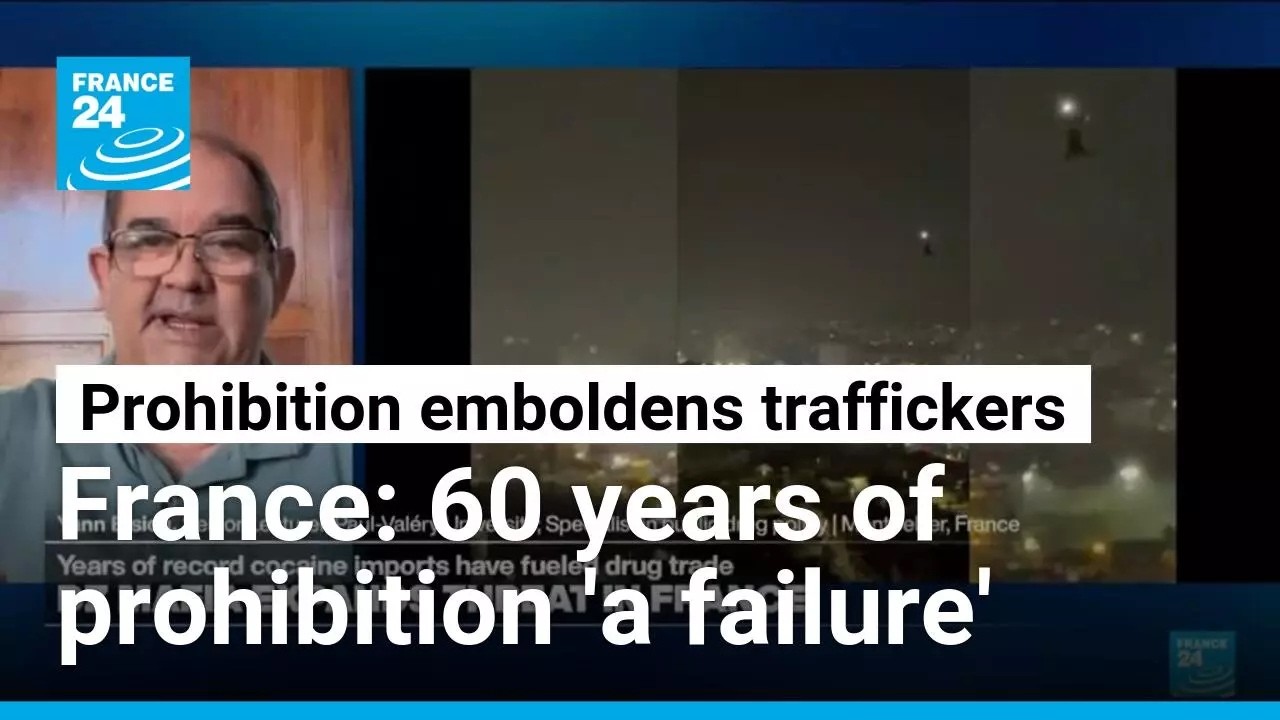 Is DZ Mafia a French drug cartel, an illicit 'brand', or a drug trafficking 'franchise'?