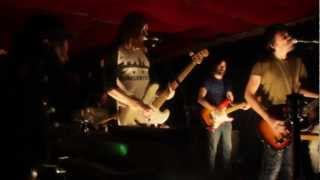 (live) Margot and the Nuclear So &amp; So&#39;s - Birds