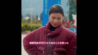 #animals #犬動画 #わんこ #いぬすたぐらむ #犬のいる暮らし #賢い犬 #忠犬 #感動犬