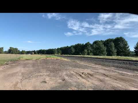 9153 Pacific national grain train at Boundary Road (18/11/2021)
