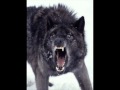 Sugar Wolf - From Autumn To Ashes