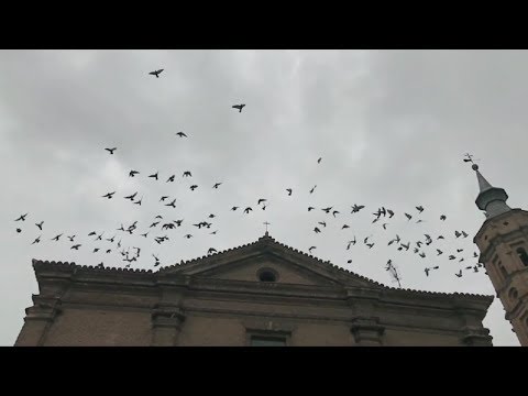 Reproducir vídeo