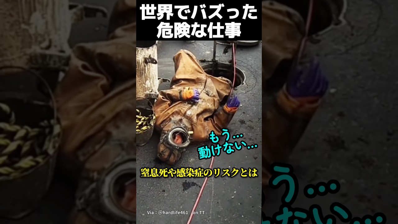 世界でバズった危険な仕事