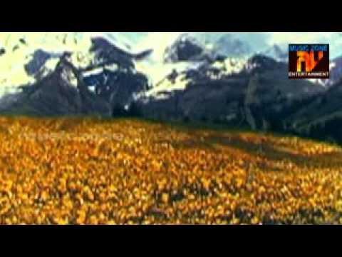 (Illayaraaja for Malayalam) Aruna Kirana Guru