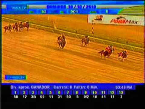 Resumen Domingo, 10 de Octubre de 2010 - La Rinconada