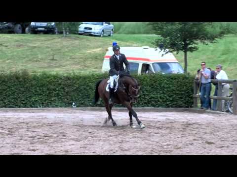 Casdorff v. Casall - Contender - Latino