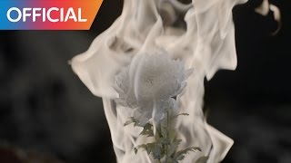 허클베리피 (Huckleberry P) -  Everest (Teaser)