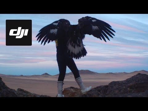 An Exquisitely Shot Video About A Mongolian Eagle Huntress