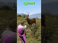 Busting 4 Myths In GTA 5