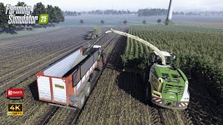 FS25 | Krone Big X , John Deere & Claas @ Maize Silage | ReShade Gameplay |