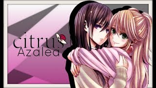 Azalea |  アザレア • english ver. by Jenny (Citrus OP)