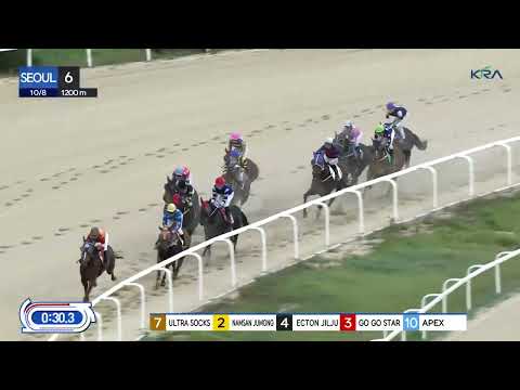 (Seoul) 2023.10.08 R6 Class 4 (1200M) Handicap