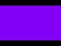 24 Hour Purple Screen For Backgrounds And Videos