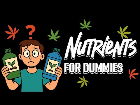 🌱 The Ultimate Cannabis Fertilizer Guide 💡 Master NPK, Nutrients & Grow Like a Pro in 10 Minutes 🔥