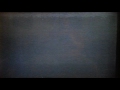 Opening To Twins 1994 VHS