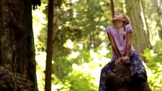 The Yes Book: &quot;Born to Soar&quot;