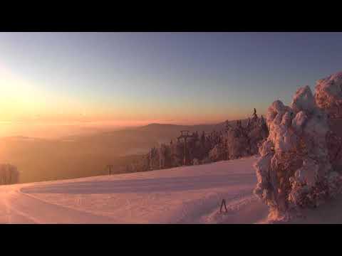 Webcam Philippsreut am Almberggipfel - Mitterfirmiansreut