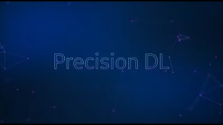 Introducing Precision DL