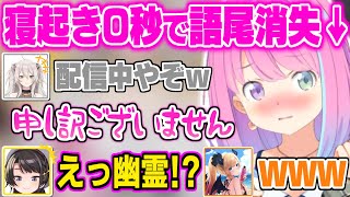 【すばちょこるなたん】寝起き0秒で現れた”ふにゃふにゃ語尾消失ボイス”に大爆笑のすばちょこたん【ホロライブ 切り抜き 大空スバル 獅白ぼたん 癒月ちょこ 姫森ルーナ 】