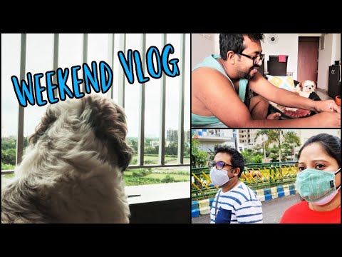 Weekend with puppies in new place | We are fully vaccinated now Video