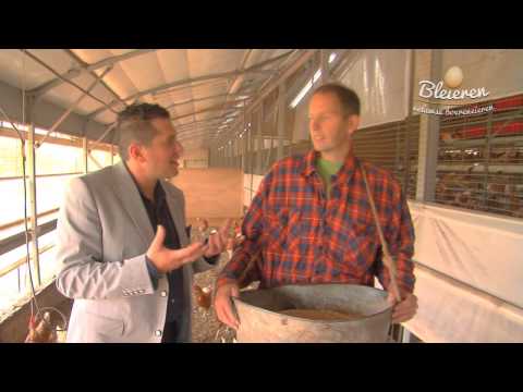 Jacob Jan Boerma kiest voor Bleieren Veluwse eieren