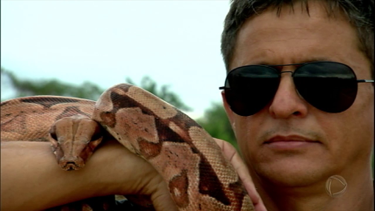 O Rei das Serpentes: conheça o homem que doma as cobras mais venenosas do Brasil