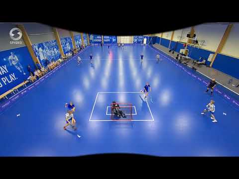 P17 PUOLUSTUS - PAINEISTAMINEN PALLOLLE