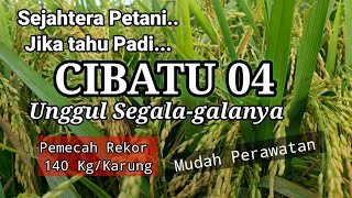 Download lagu Padi Cibatu 04 Unggul Segala galaunya. mp3 Download lagu Padi Cibatu 04 Unggul Segala galaunya. mp3