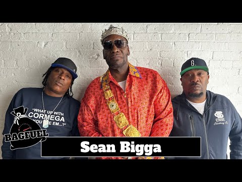 Sean Bigga (My Expert Omissions 2) | BagFuel